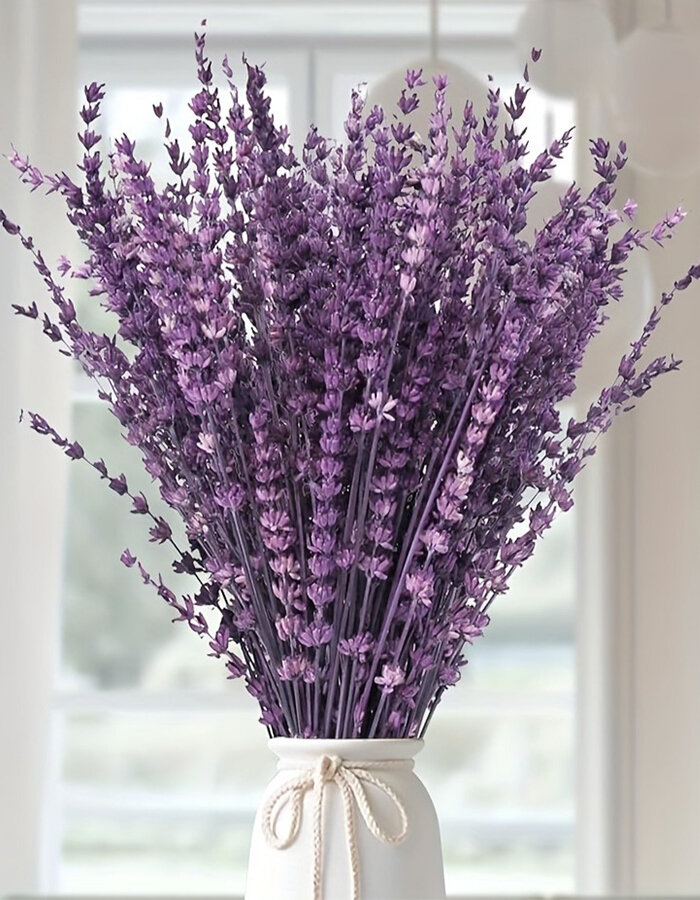 50+ шт. Лаванда сухоцвет натуральная стабилизированные сухие Сухоцветы букет для декора и интерьера