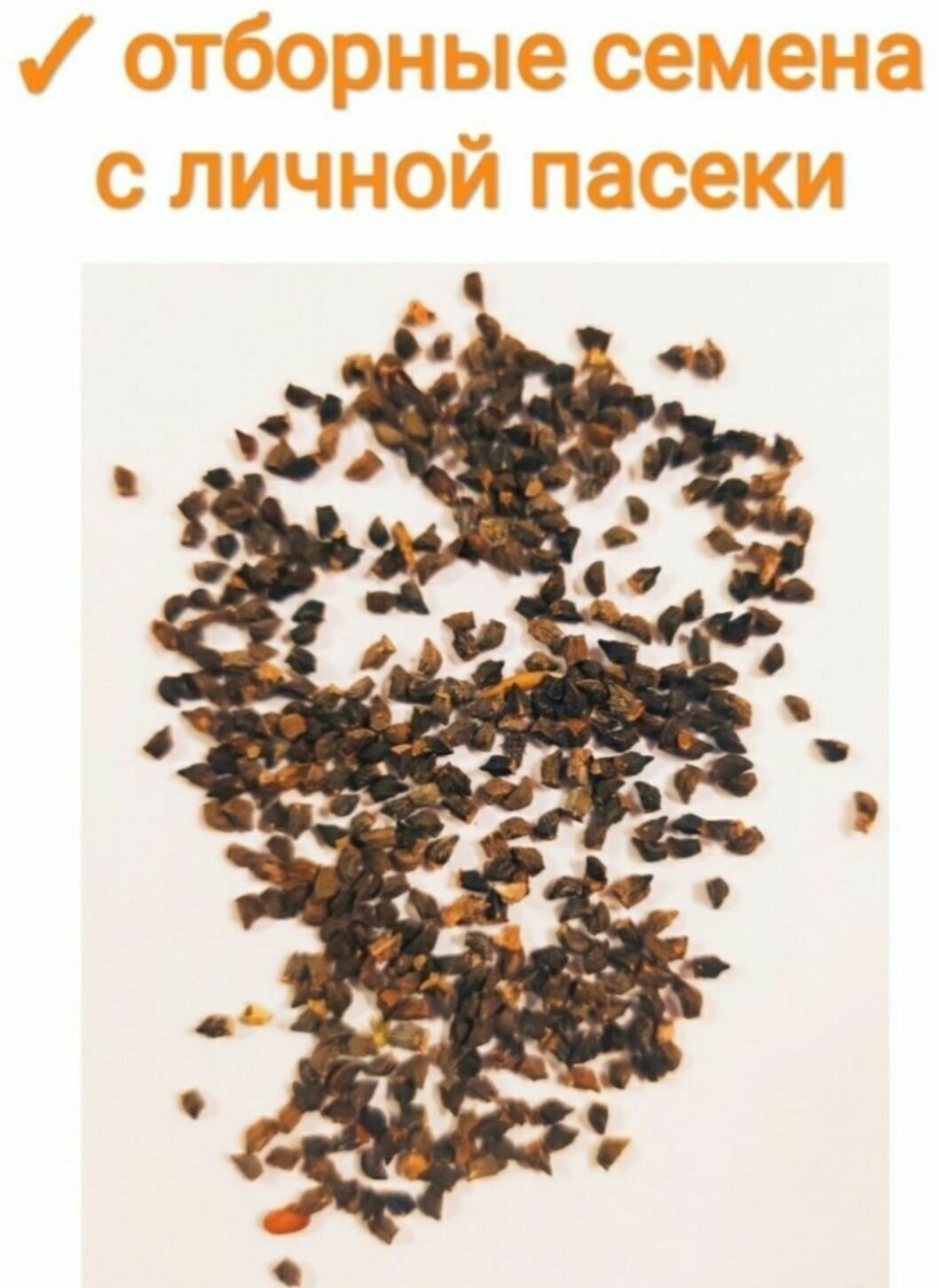 Садовые Газоны Синяк семена,500гр медонос/сидерат для сада/пасеки