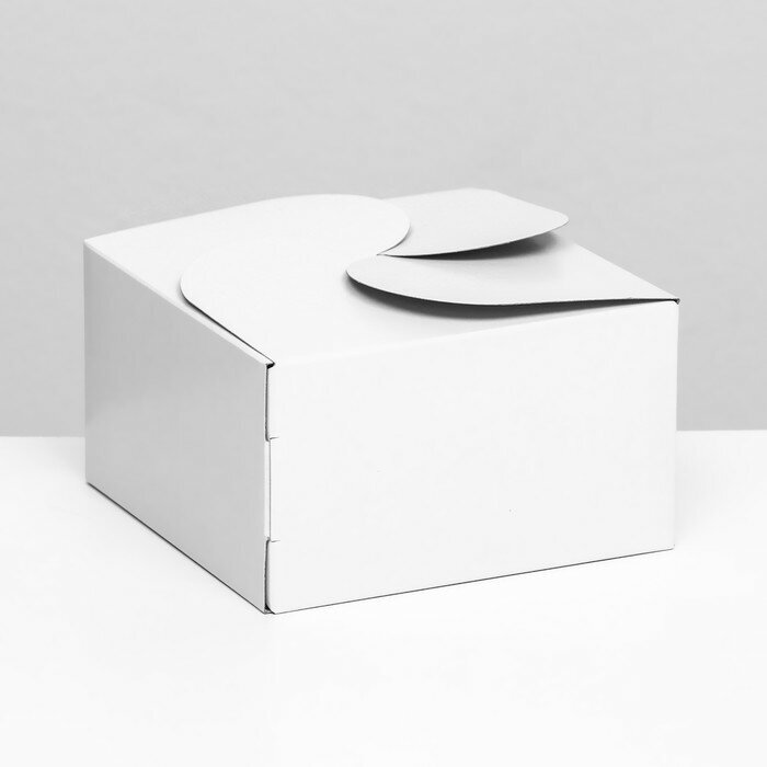 Коробка под бенто-торт без окна, белая, 14 х 14 х 8 см, 5 штук