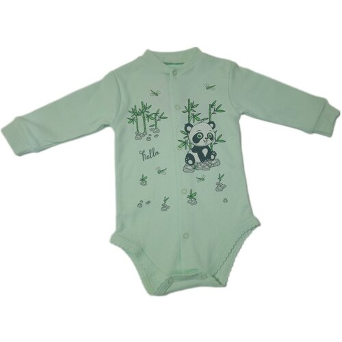 Боди, размер 74, зеленый боди pabbuc baby wear размер 74 белый