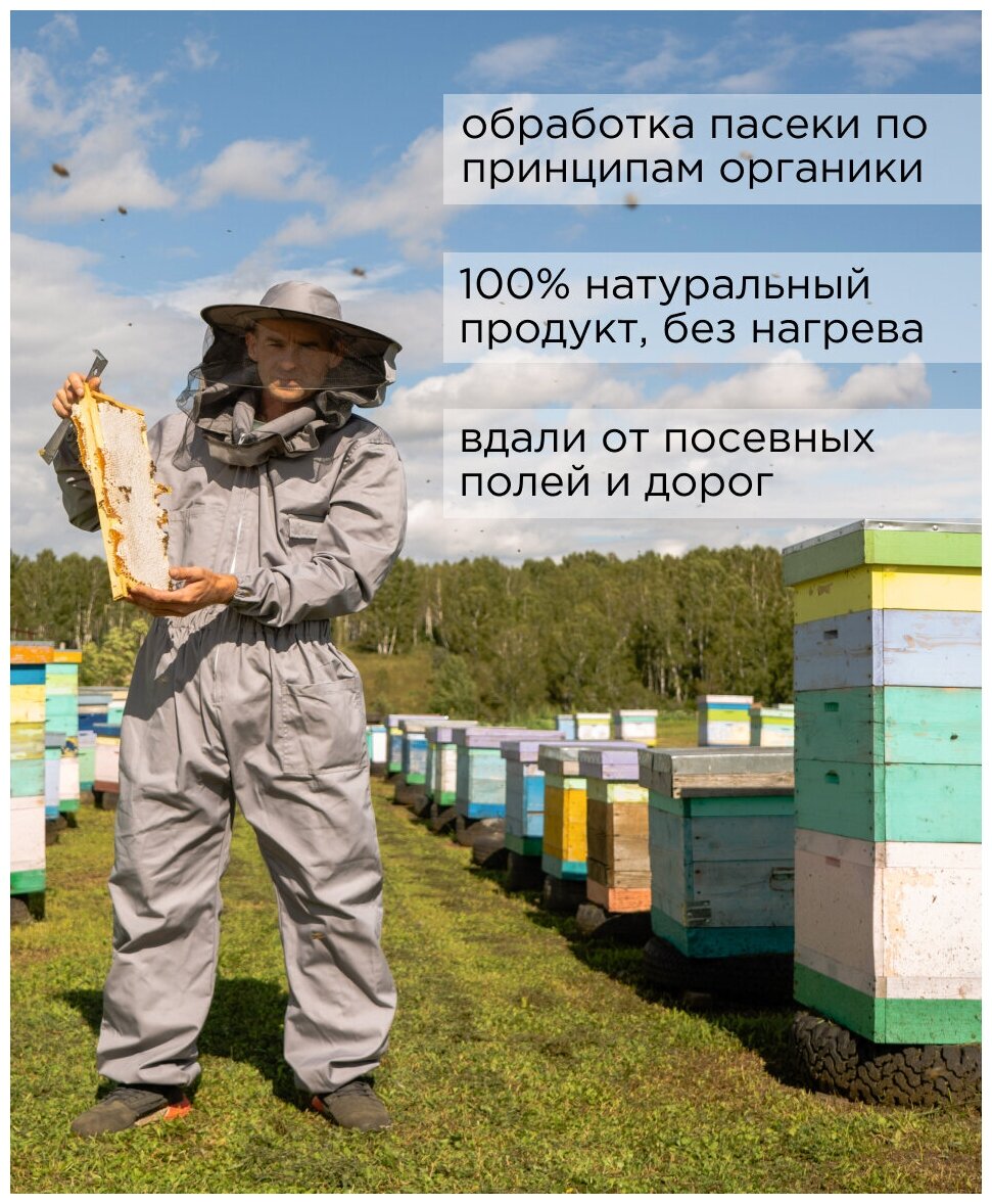 Мед натуральный Донниковый 1000 гр., сбор 2022г., дикоросы Сибири, частная пасека - фотография № 2