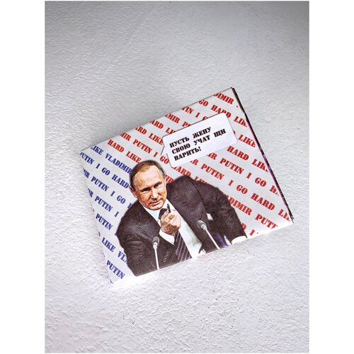 фото Кошелёк тайвек для купюр и кредитных карт (президент) gemtech