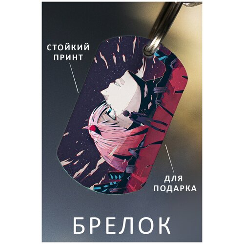 фото Брелок для ключей милый во франксе, брелок мужской женский аксессуар, брелок на ключи детский подарок ребенку сыну или дочке в виде жетона zhenya cloud