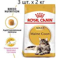 Сухой корм для кошек Royal Canin Maine Coon Adult, для взрослых кошек породы мейн-кун, старше 15 месяцев, 3 шт. х 2 кг