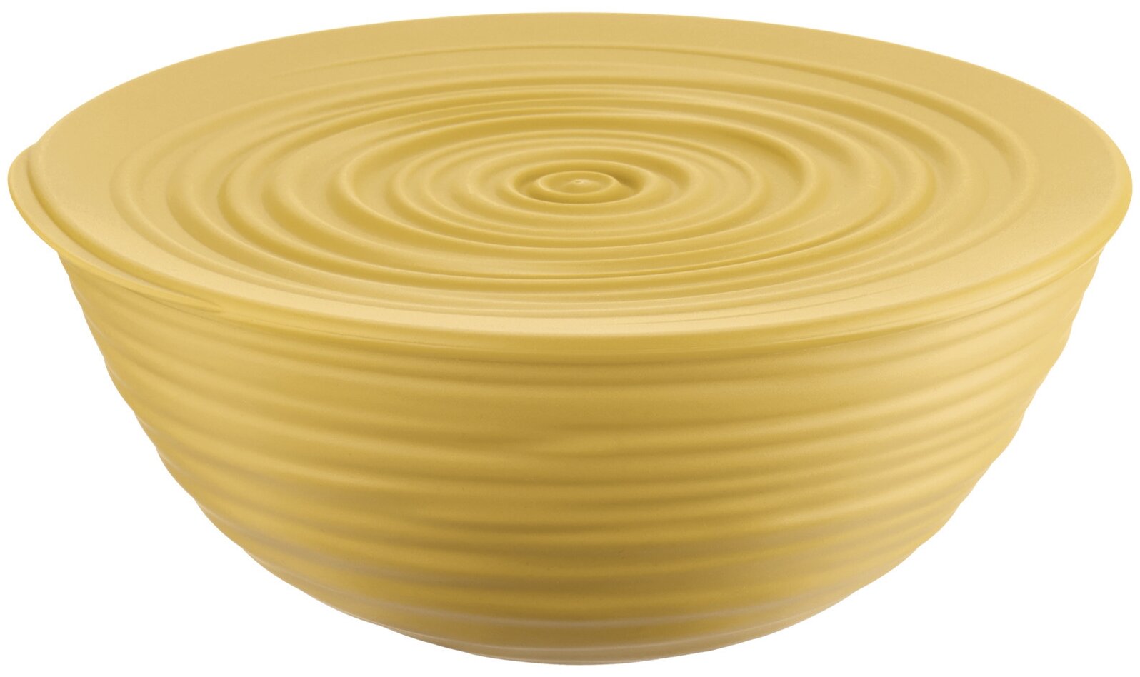 фото Миска Guzzini Tierra L с крышкой