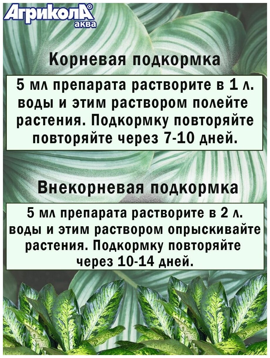 Удобрение Агрикола Аква для фикусов, 0.25 л, 0.25 кг, 1 уп. Green Belt - фото №7