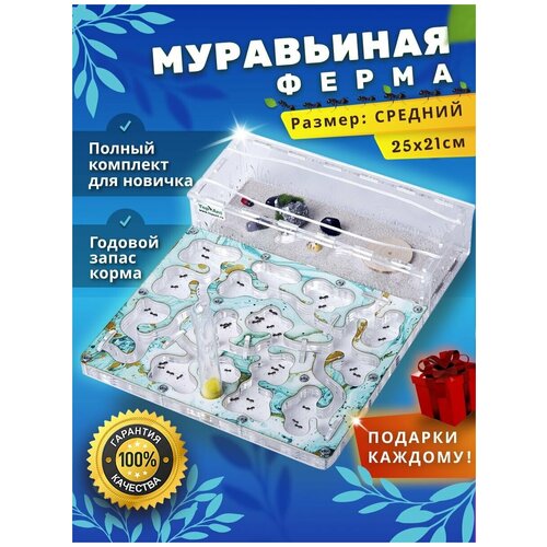 Средняя муравьиная ферма максимальный комплект