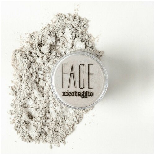 Тени для век рассыпчатые FACE nicobaggio professional make-up STAR LIGHT