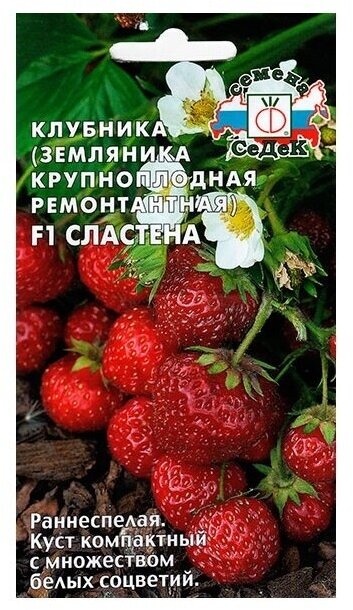 Клубника ремонтантная Сластена F1 15 шт раннеспелый сорт отличается крупными плодами с сочной мякотью. Подходит для открытого и защищенного грунта