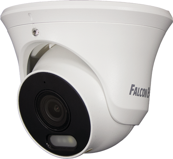 IP камера Falcon Eye FE-IPC-D2-30p