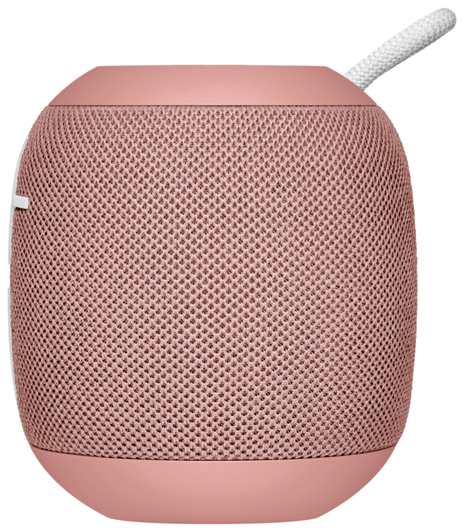 Ultimate Ears Wonderboom