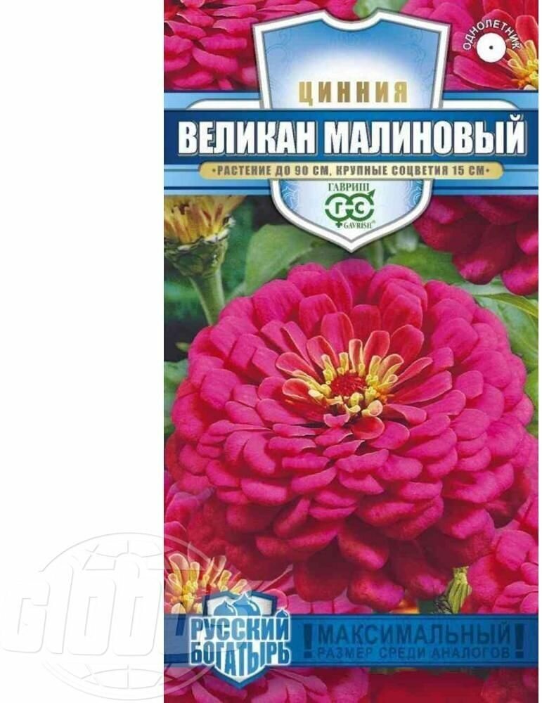 Цинния Великан малиновый 03г Гавриш