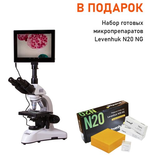 Микроскоп цифровой Levenhuk MED D25T LCD, тринокулярный + Набор микропрепаратов Levenhuk N20 NG, 20 шт. в кейсе