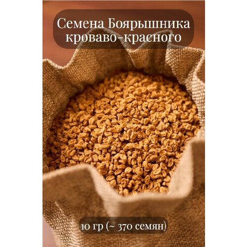 Семена Боярышника кроваво-красного, морозостойкого, подходит для живой изгороди, 10 грамм (примерно 370шт)