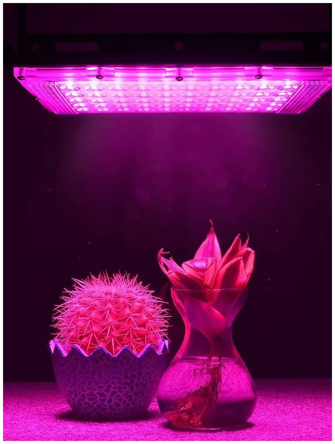 Фитолампа для растений 200W , светильник полного спектра для выращивания растений - фотография № 1