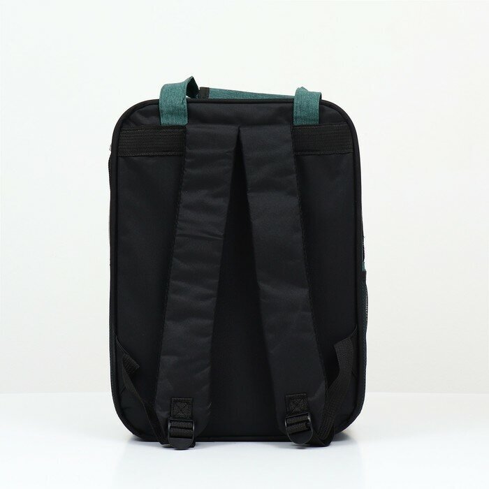 Рюкзак-переноска для животных, 52 х 22 х 41 см, зелёный 9208852 - фотография № 4
