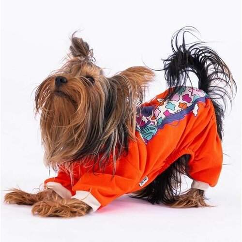 Комбинезон-пижама для собак PAWSTAR. Размер M. Костюм жираф. Цвет оранжевый. Хлопок 100%. Обхват груди 37-41 см. Одежда мелких пород