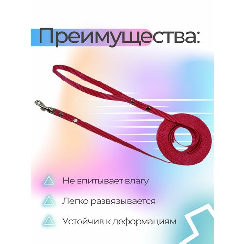 Поводок Хвостатыч для собак нейлоновый классический 3 м х 10 мм (розовый)