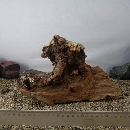 Коряга натуральная