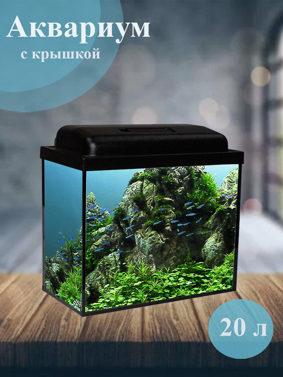 Аквариум, прямоугольный, с крышкой и подсветкой, стекло 4мм, черный