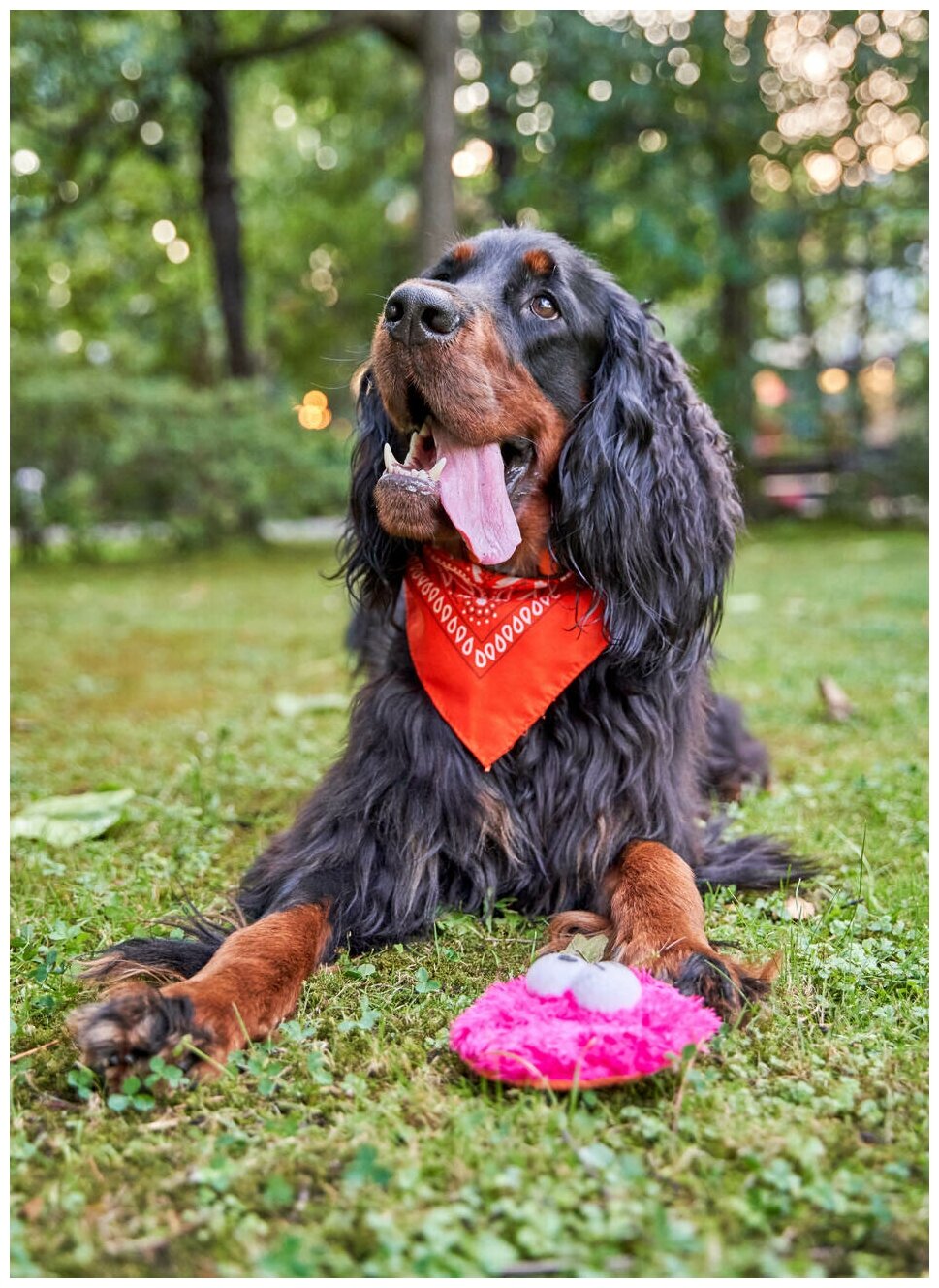 Игрушка для собак Japan Premium Pet Фрисби пушистый, розовый. - фотография № 12