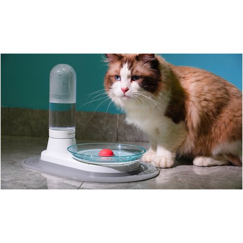 Cheerble KittySpring Waterer 2 бесшумная автопоилка фонтан для кошек и собак с ковриком под миску