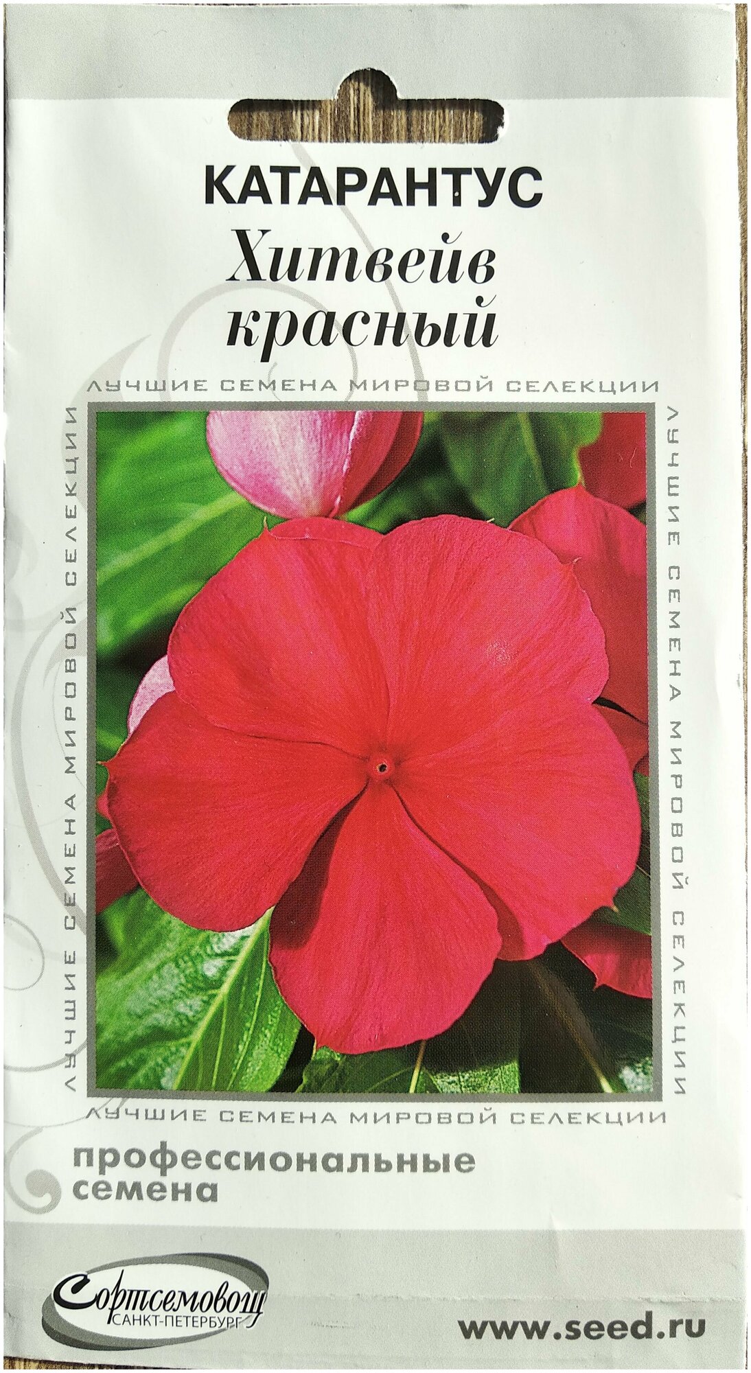 Катарантус (Барвинок) Хитвейв красный обильно цветущий комнатный многолетник прост в выращивании 7 семян