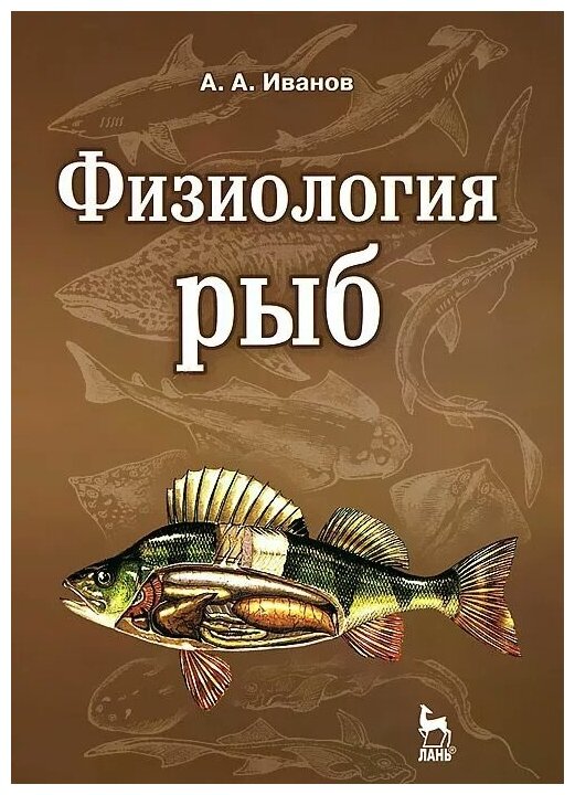 Физиология рыб: учебное пособие. Издание второе, стереотипное - фото №1