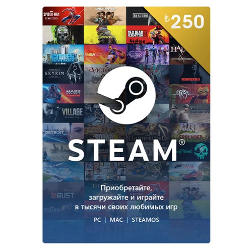 Карта оплаты Steam 250 TL Turkey [Цифровая версия]