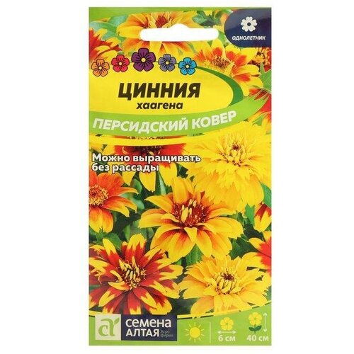 Семена цветов Цинния Персидский Ковер, хаагена 0,3 г 8 упаковок семена партнер цинния персидский красный