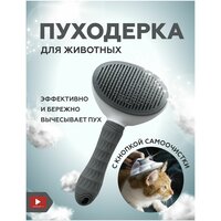 Лучшие Инструменты для стрижки кошек