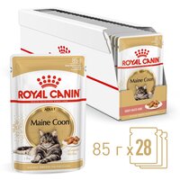 Лучшие Корма для кошек Royal Canin Maine Coon