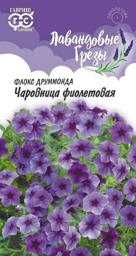 Флокс друммонда Чаровница фиолетовое 0,05 гр (Гавриш)
