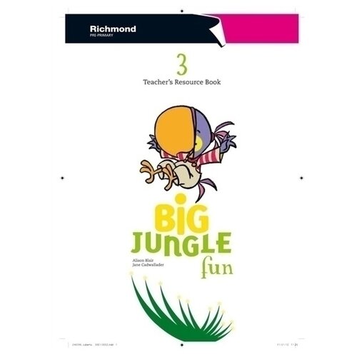 Big Jungle Fun 3. Teacher's Resource Book