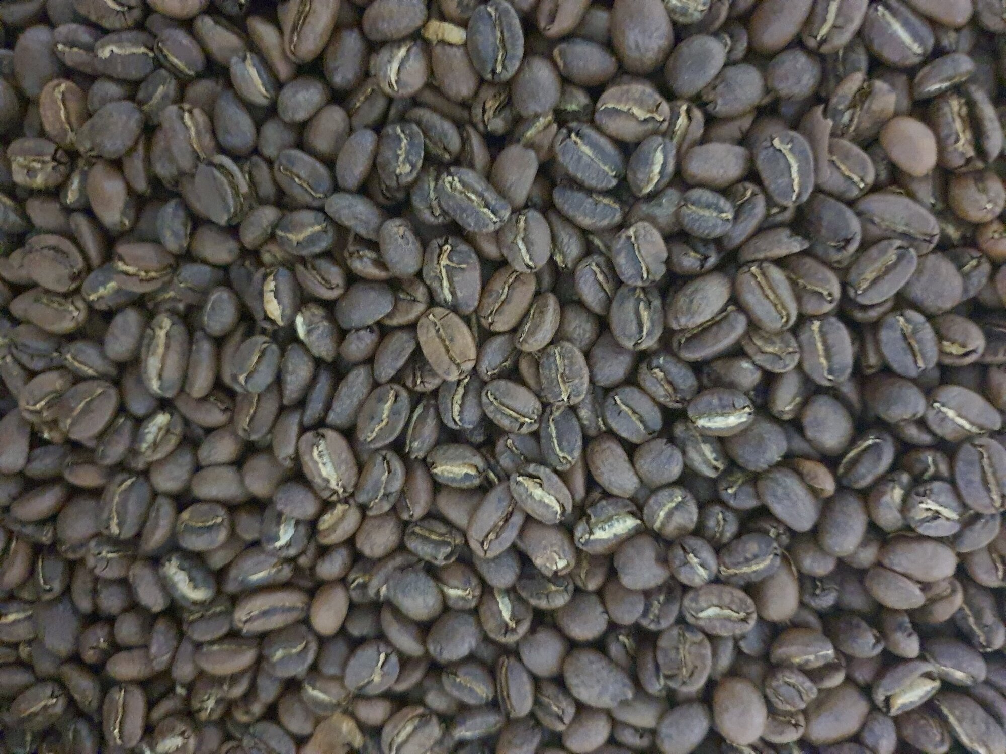 Кофе в зернах от производителя DeepCoffee (дипкофе) эфиопия YIRGACHEFFE 250гр. - фотография № 3