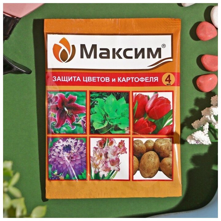 Средство от болезней растений Максим ампула 4 мл - фотография № 8