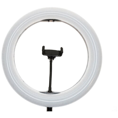 фото Кольцевая светодиодная лампа ring fill light, с тремя режимами освещения 36 см. для профессиональной фото видео семки (без штатива) вся-чина