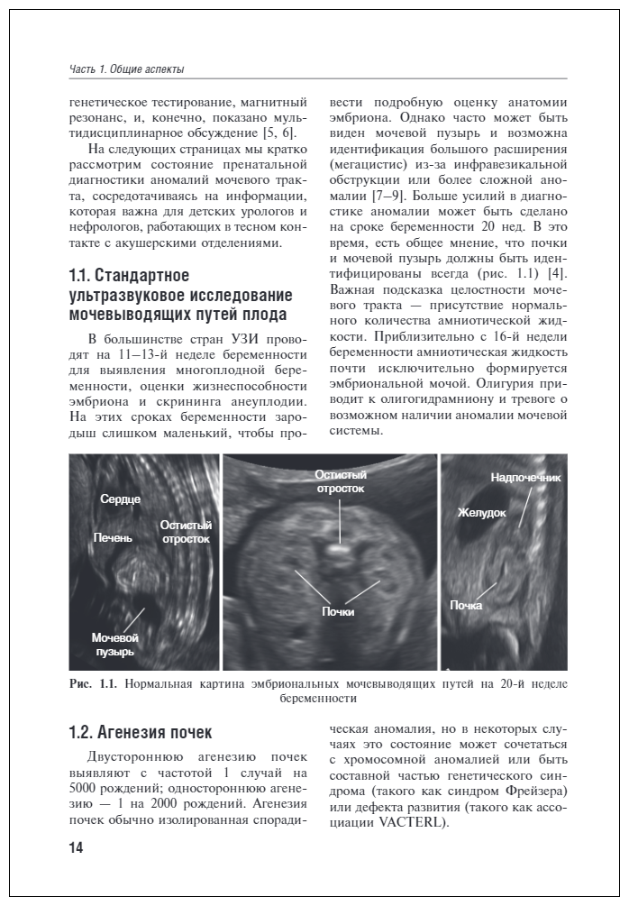 Детская урология. Современные операционные методики. От внутриутробного периода развития до пубертат - фото №2