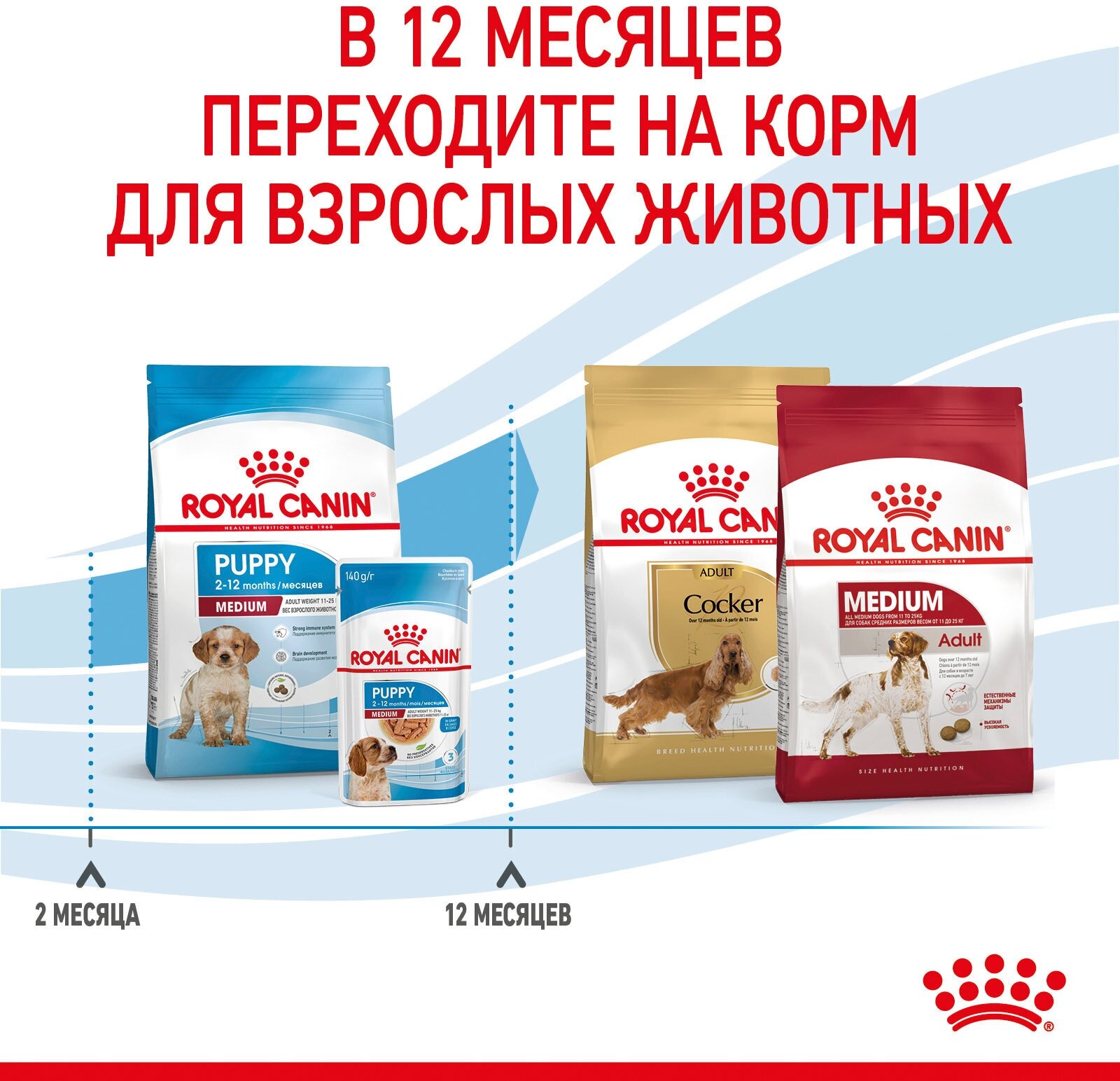 Корм для щенков ROYAL CANIN - фото №9