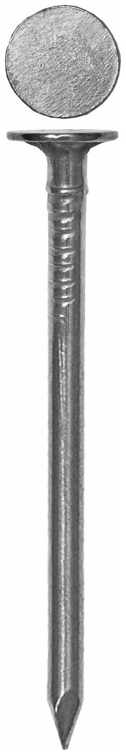 Гвозди с большой потайной головкой, оцинкованные, 100 х 4.0 мм, 8 шт, ЗУБР - фотография № 1