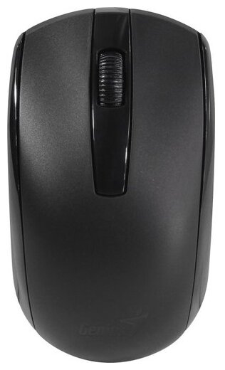 Мышь беспроводная Genius ECO-8100 черная (Black), 2.4GHz, BlueEye 800-1600 dpi, аккумулятор NiMH