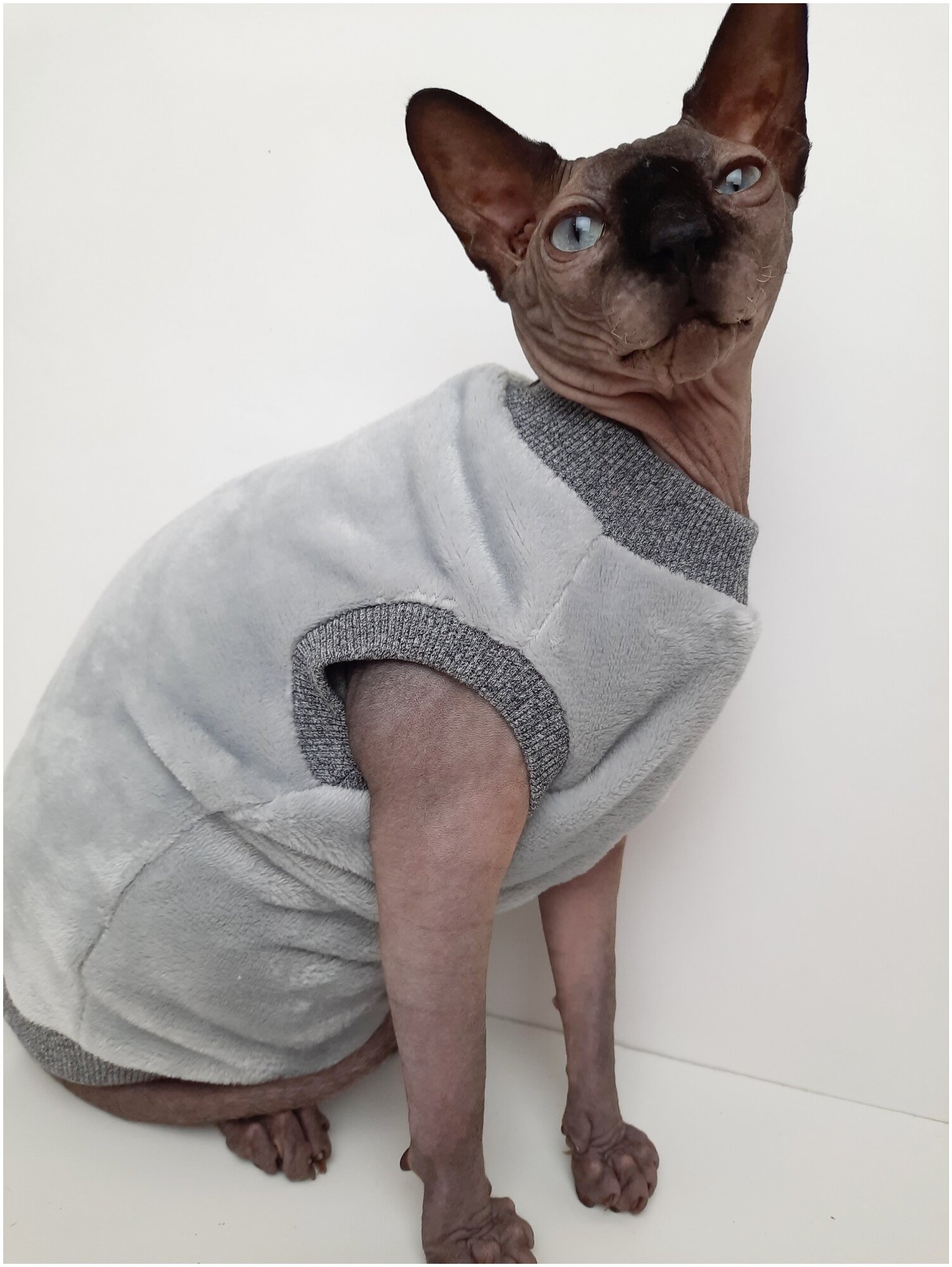 Толстовка, свитер, шуба для кошек сфинкс, размер 30 (длина спины 30см), цвет серый/ Одежда для кошек сфинкс / одежда для животных - фотография № 11