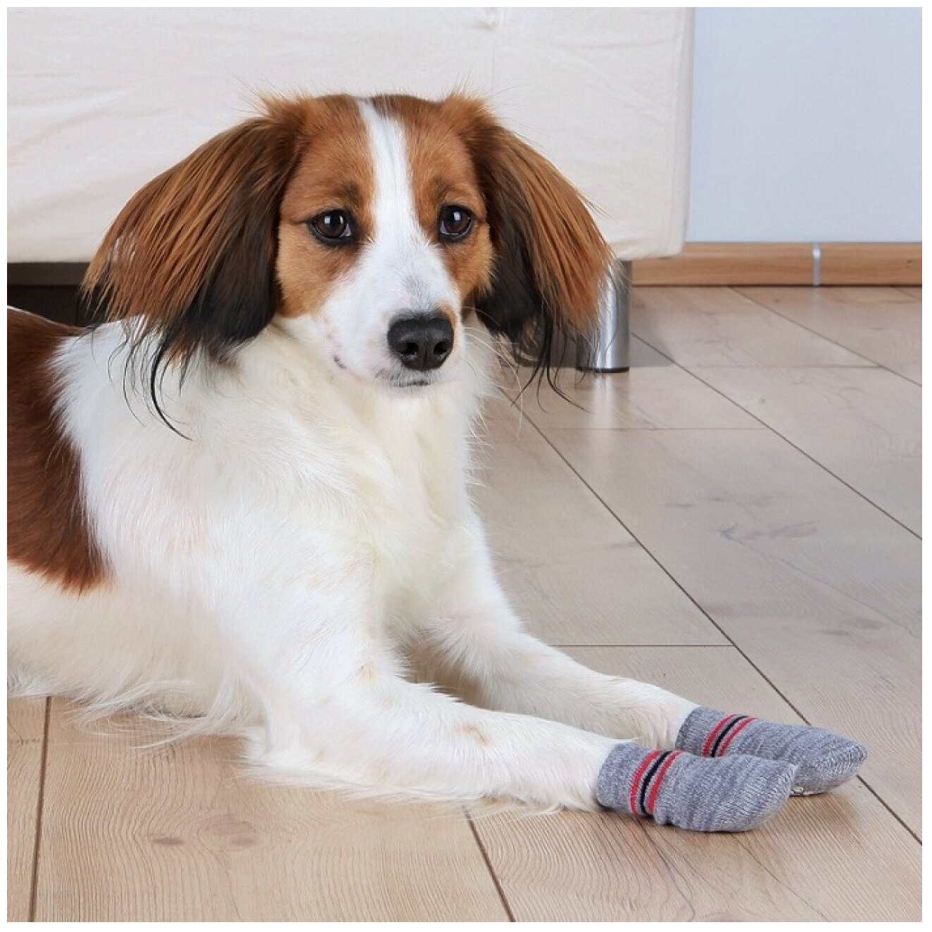 Носки для собак Trixie Dog Socks L, 2, серый - фотография № 4