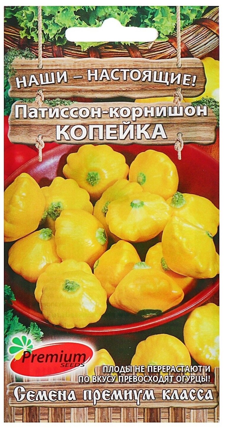 Семена Патиссон Копейка 7 шт