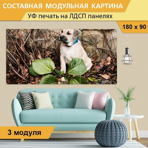 Модульная картина 