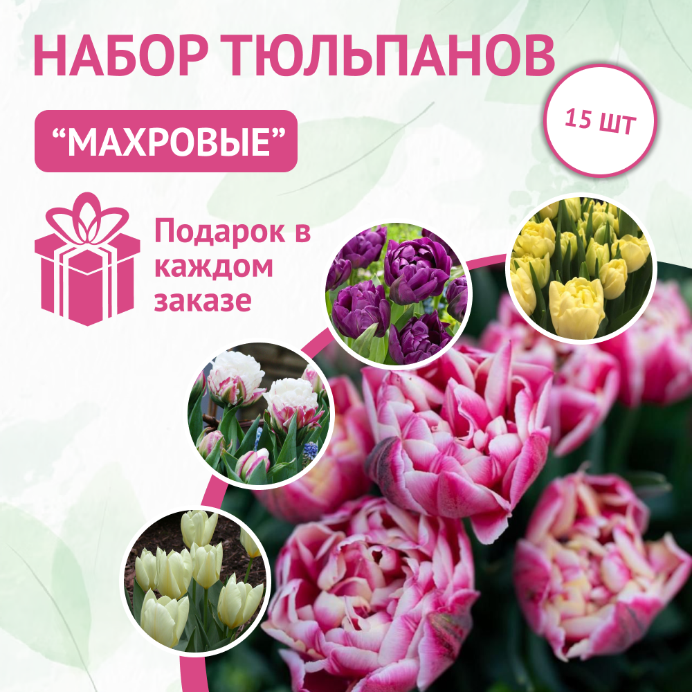 Луковицы махровых тюльпанов набор микс 15 шт