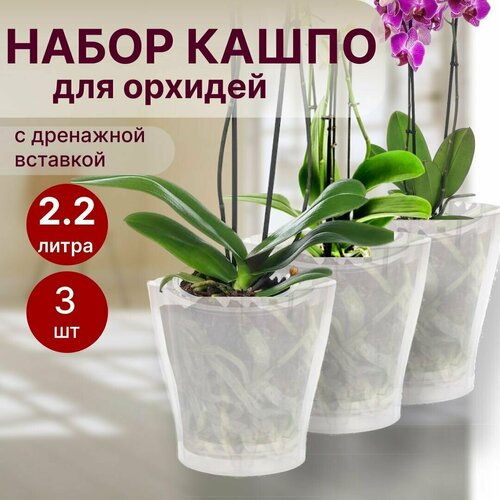 Горшок для орхидеи прозрачный Лея 2,2 литра с автополивом (комплект 3 штуки), кашпо для орхидей