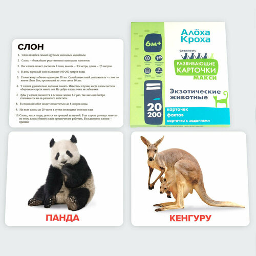 Экзотические животные 6м+. Развивающие и обучающие карточки для детей по методу Домана от 
