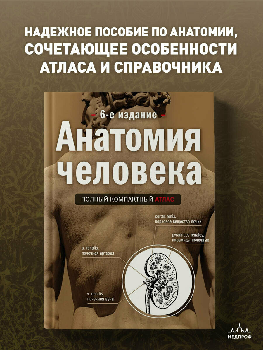 Боянович Ю. В. Анатомия человека: полный компактный атлас. 6-е издание