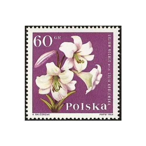 (1964-087) Марка Польша Лилия Царственная Садовые цветы I Θ